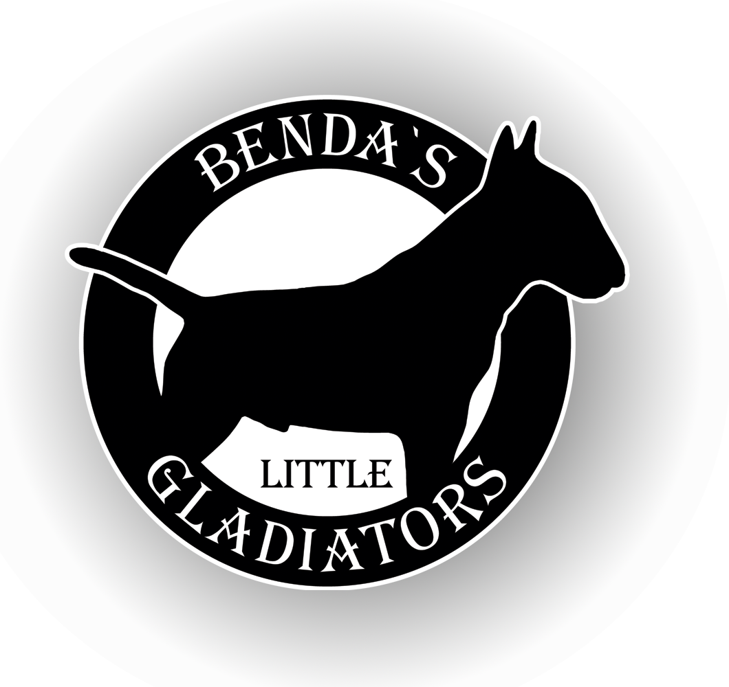 Benda`s Littel Gladiators